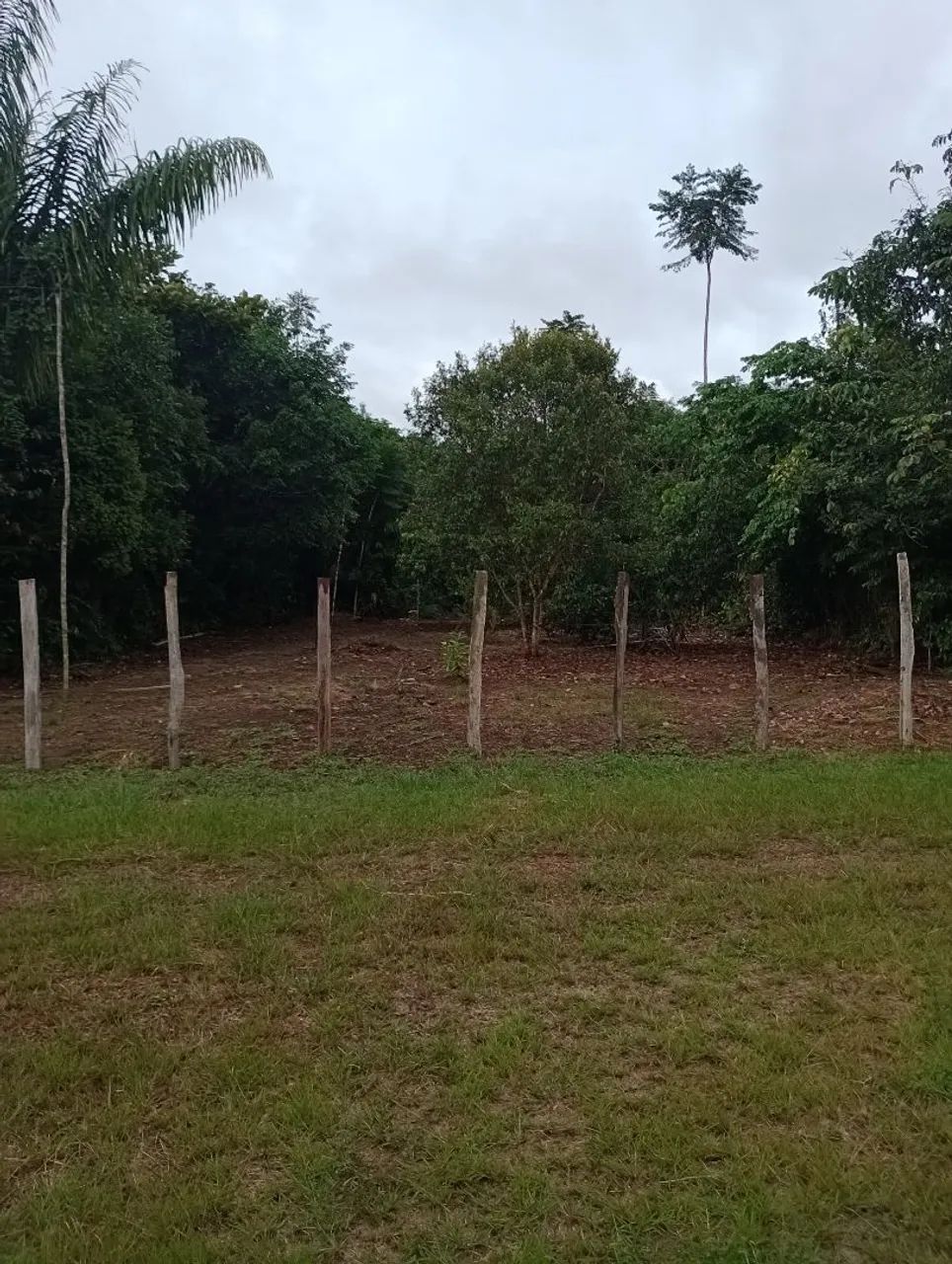 Terreno  - Foto 4