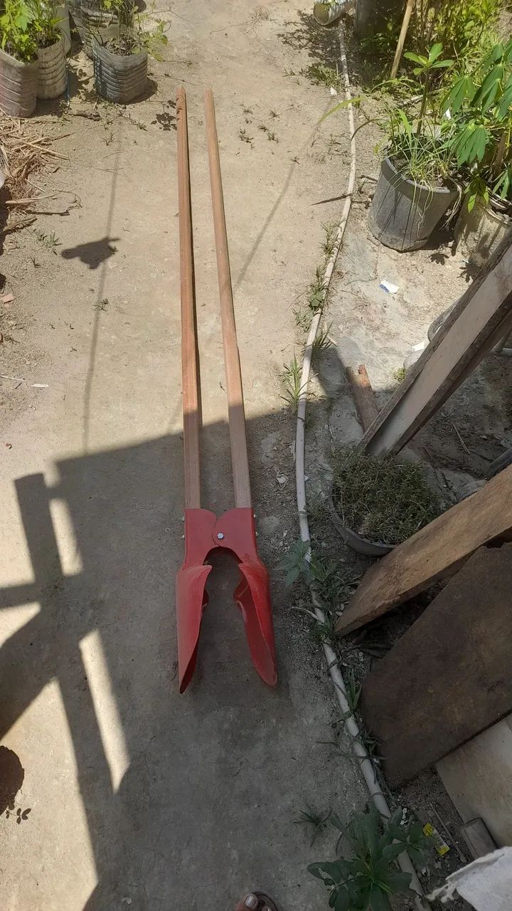 Boca de lobo  - Foto 3