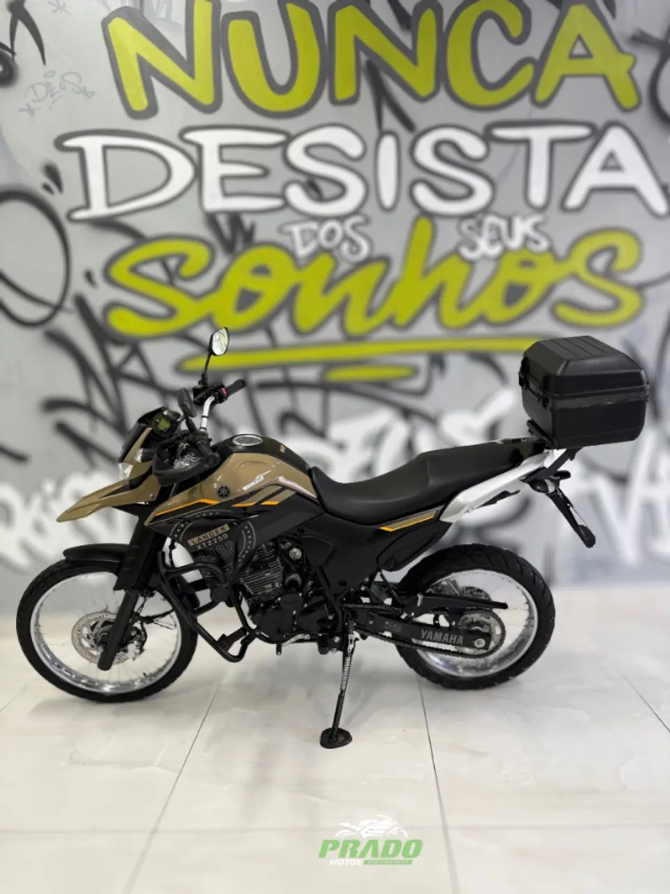 Xtz Lander 250 2024  - Foto 5