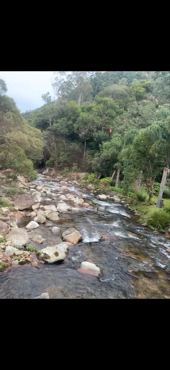 Vendo sítio em Anitapolís  - Foto 3
