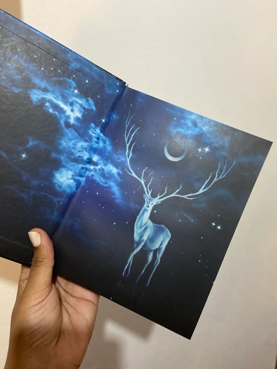 Livro Jornada da Bruxa - Foto 3