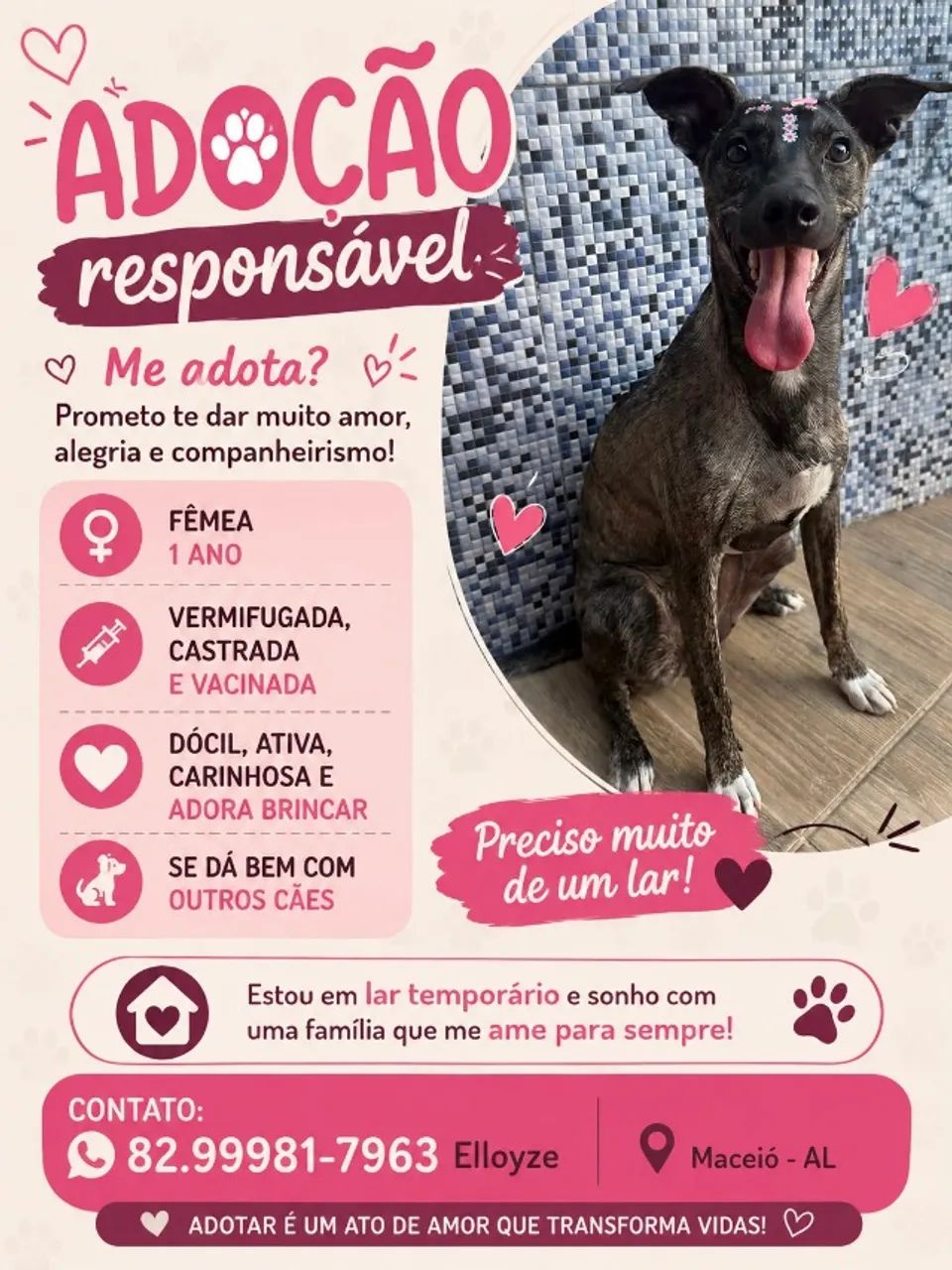 Animal  - Foto 2