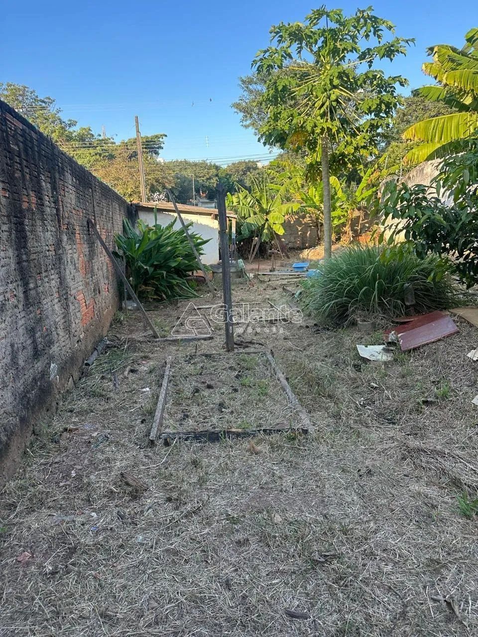 terreno - Jardim dos Oliveiras - Campinas - Foto 4