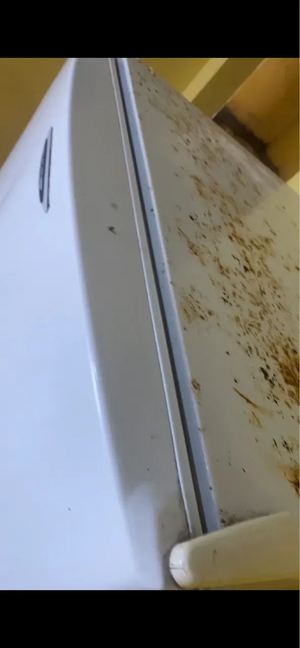 Vendo gela quando quer. - Foto 4