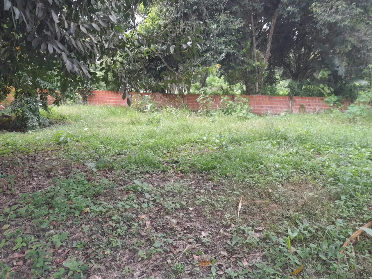 terreno barato no vila acre pra vender logoo - Foto 2