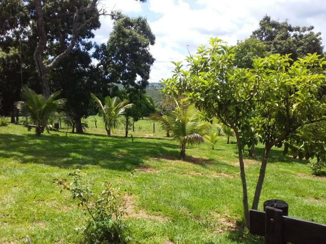 Vendo chácara no município de caldas novas - Foto 18