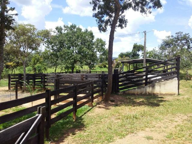 Vendo chácara no município de caldas novas - Foto 20