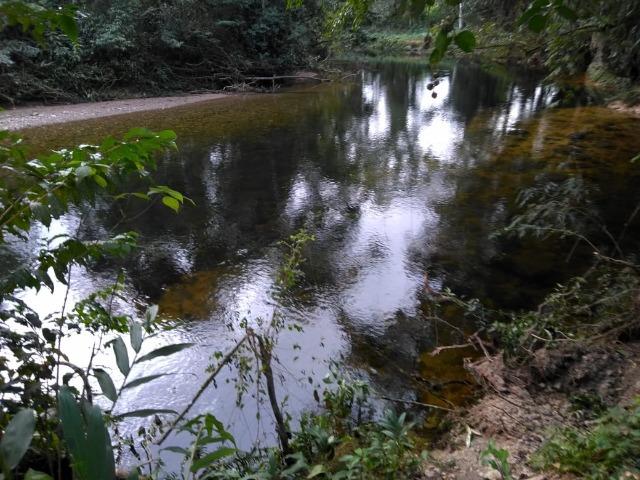 Chácara - América de Baixo - Morretes