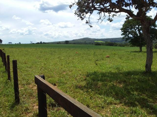 Vendo chácara no município de caldas novas - Foto 5