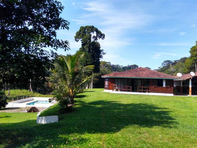 Belíssima fazendinha em Guapimirim oportunidade!!! - Foto 12