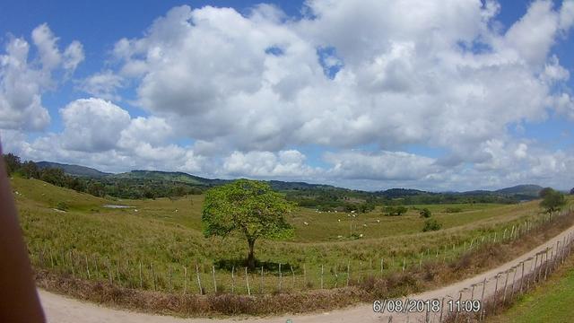 Vendo Fazenda na Cidade de Bonito - Pe com 72 hect. / represa do prata - Foto 4