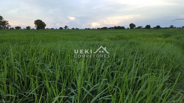 Área rural 47.000 ha - Dupla Aptidão - Foto 6
