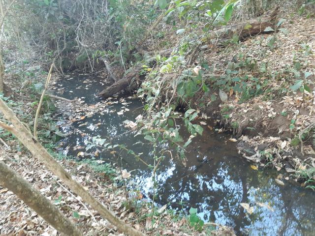 Urgente Vendo Meio Alqueire Prox a Teresópolis e Goianápolis Nerópolis Urgente Muita Água - Foto 6