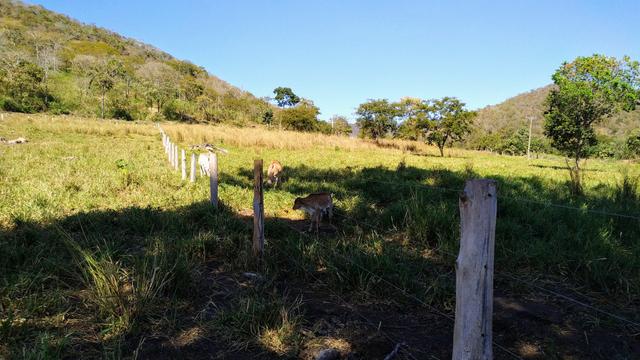 Vendo Chácara em Cáceres, troco por casa mais volta em Cáceres