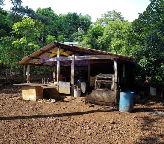 Chácara a 28km sentido Palmas X Aparecida do Rio Negro, confira!!! - Foto 5