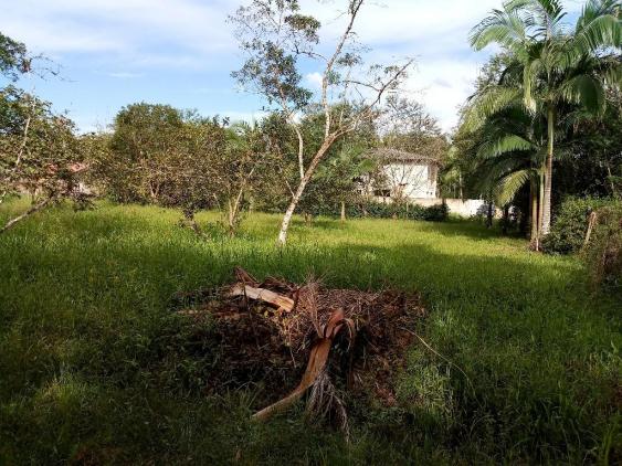 Chácara - Vila das Palmeiras - Morretes - Foto 12