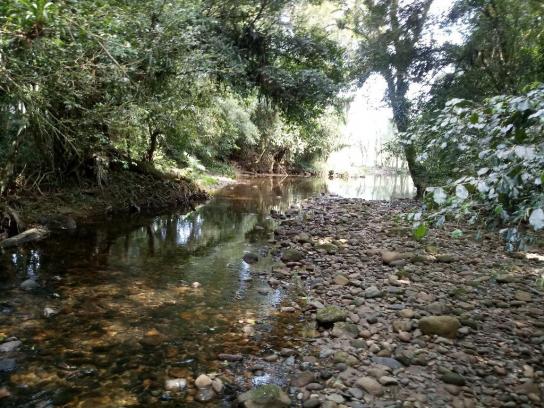 Chácara - Prox Centro - Morretes - Foto 14