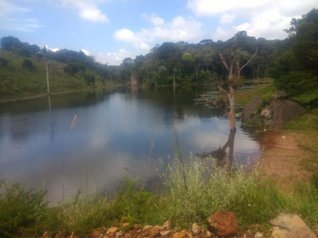 Fazenda em Tijucas do Sul -PR - Foto 5