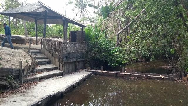 50 hectares a 25 km de castanhal por 250 mil zap * - Foto 6