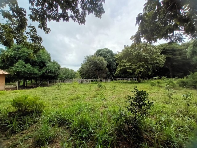 Fazenda em Lizarda. 7 mil por alqueire. - Foto 3