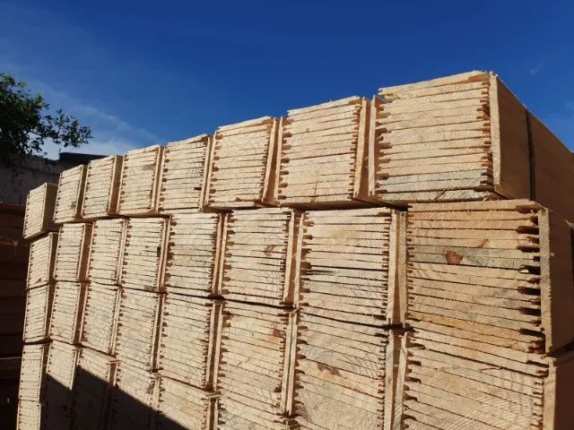 Forro de Pinus comum - 2.5 metros