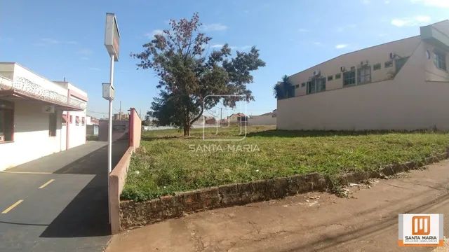 Terreno (terreno normal) - Foto 3