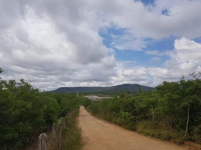 Fazenda em Belo Jardim/PE à Venda (FA0073-PV)  - Foto 3
