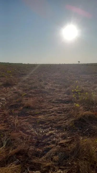 Fazenda em Río Sono/Novo Acordo. 35 mil por alqueire. - Foto 5