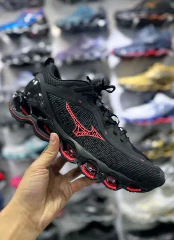 Mizuno prophecy 13