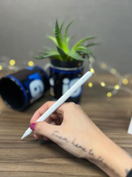 Apple Pencil (USB-C) Model A3085  Acompanha caixa   3 meses de garantia   R$600,00