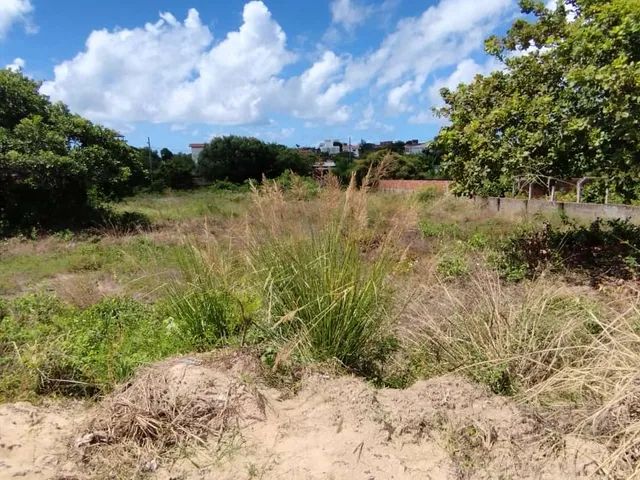 4 lotes em Jacuma / Carapibus Beira de Pista - Foto 3