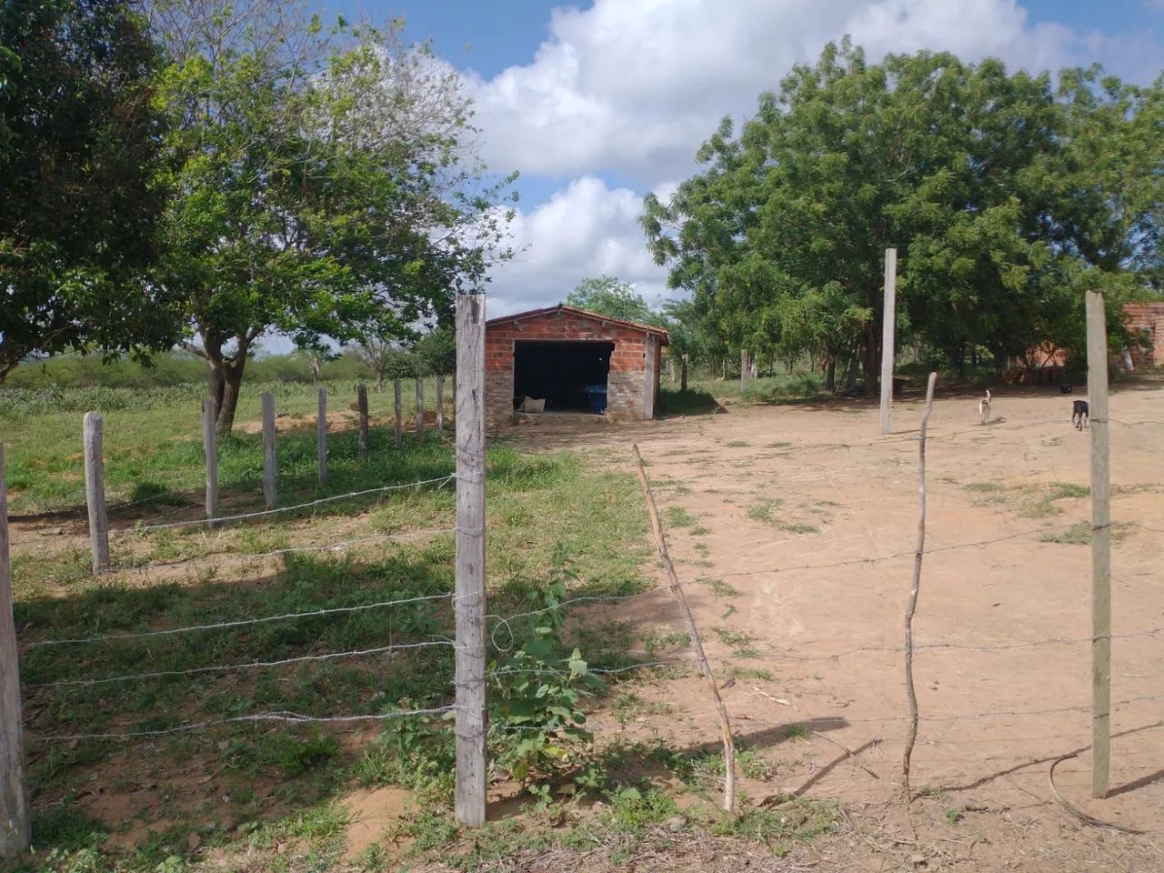 Fazenda em Macajuba - Foto 2