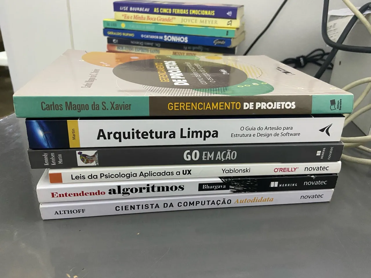Livros de Tecnologia (Golang, Python, UX)