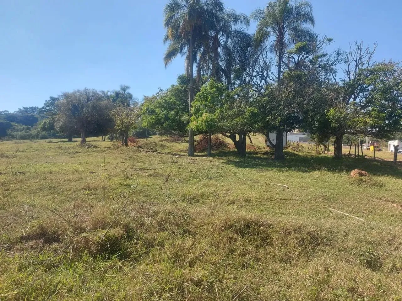Lindo Sítio (5 alqueires)