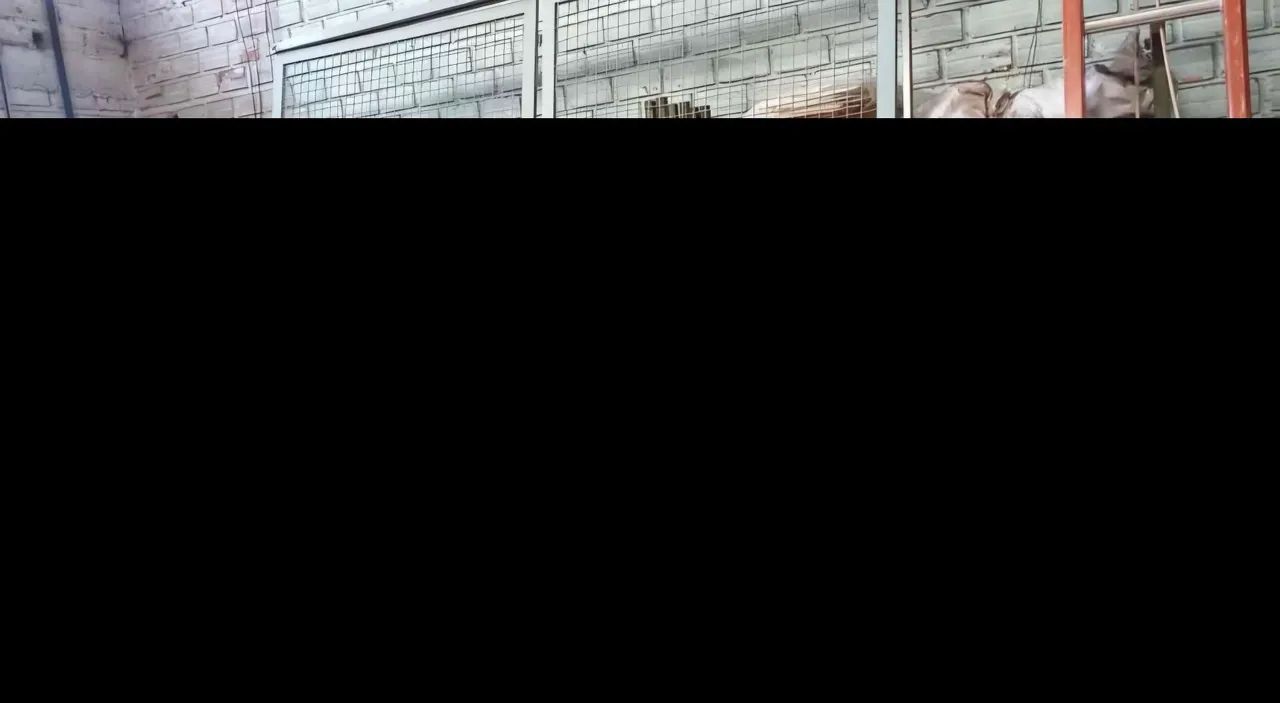 Portão de correr suspenso em inóx e tela  - Foto 2