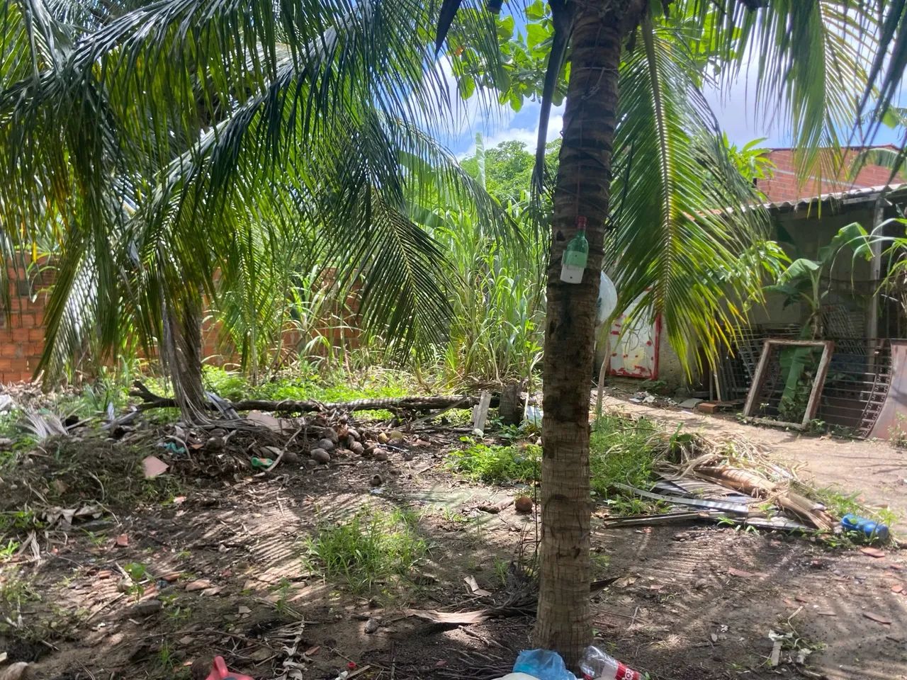 "Oportunidade Imperdível: Terreno à Venda na Granja do Lisboa por R$ 100.000!" - Foto 2
