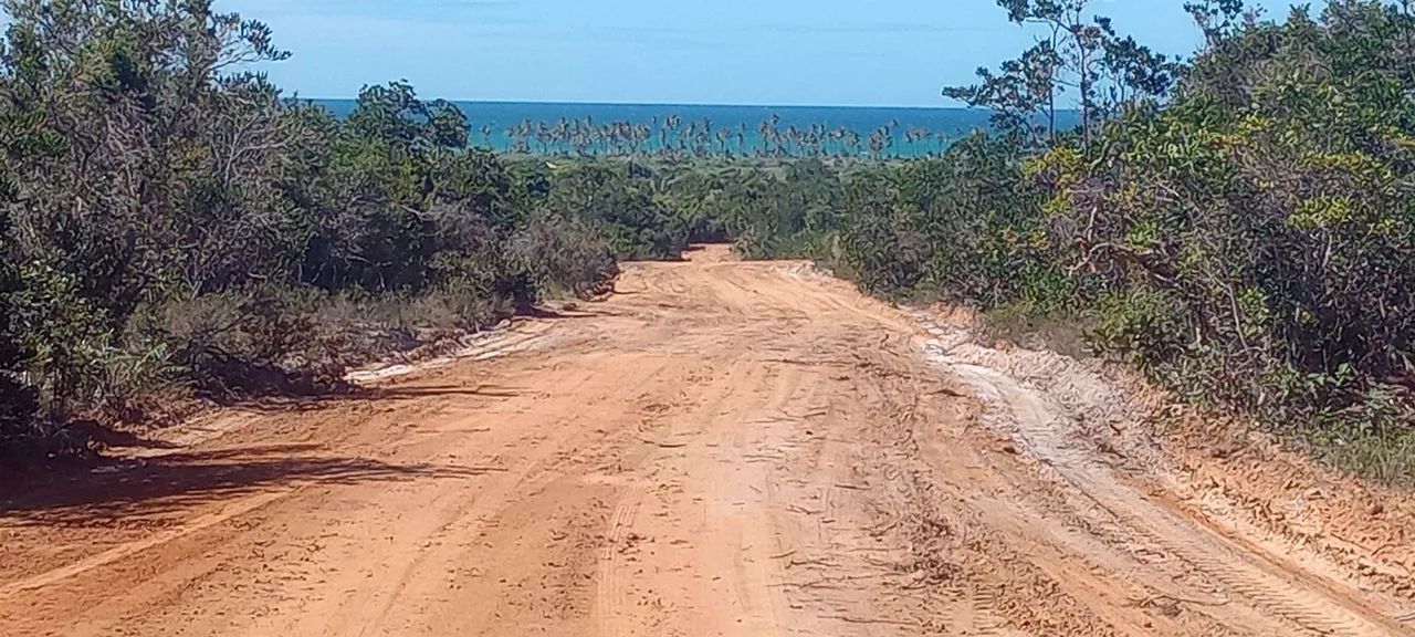 Foto - Mata de São João - Praia do Forte