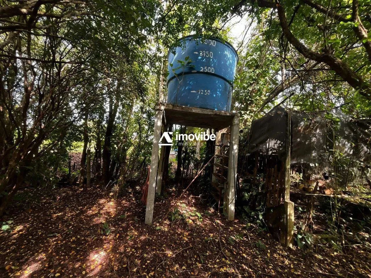 Chácara com 7.000m² com mata natural, casa 3 quartos avarandada, nascente natural - Limeir - Foto 9