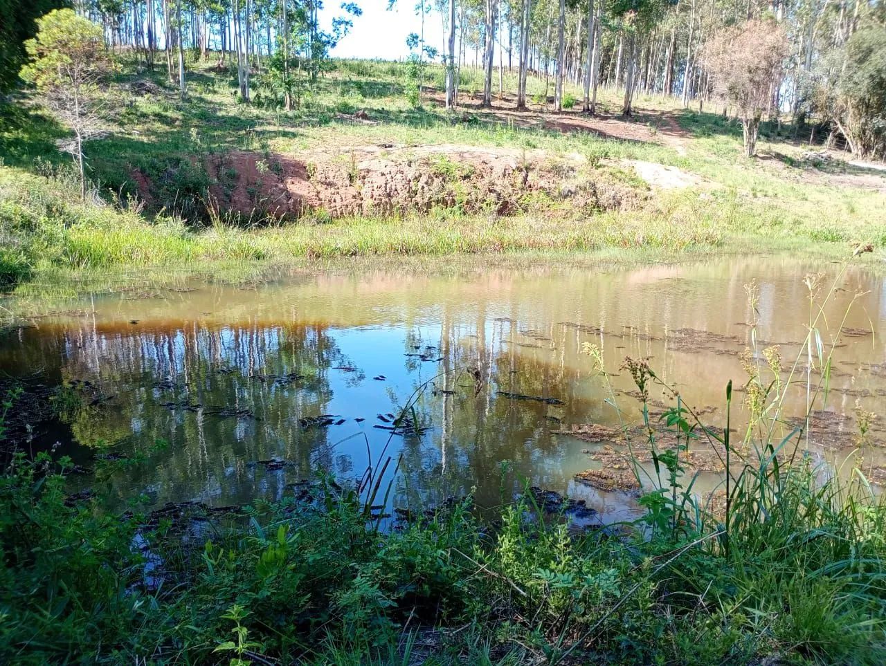 foto - Guaíba - 