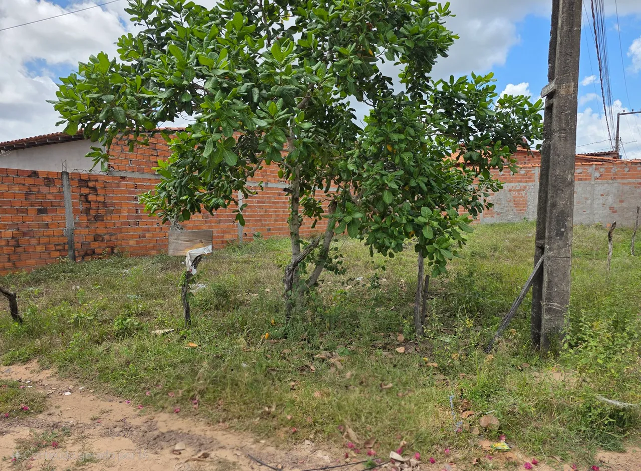Oportunidade de investimento! Terrenos em Barreirinhas... Na avenida principal. Chama!