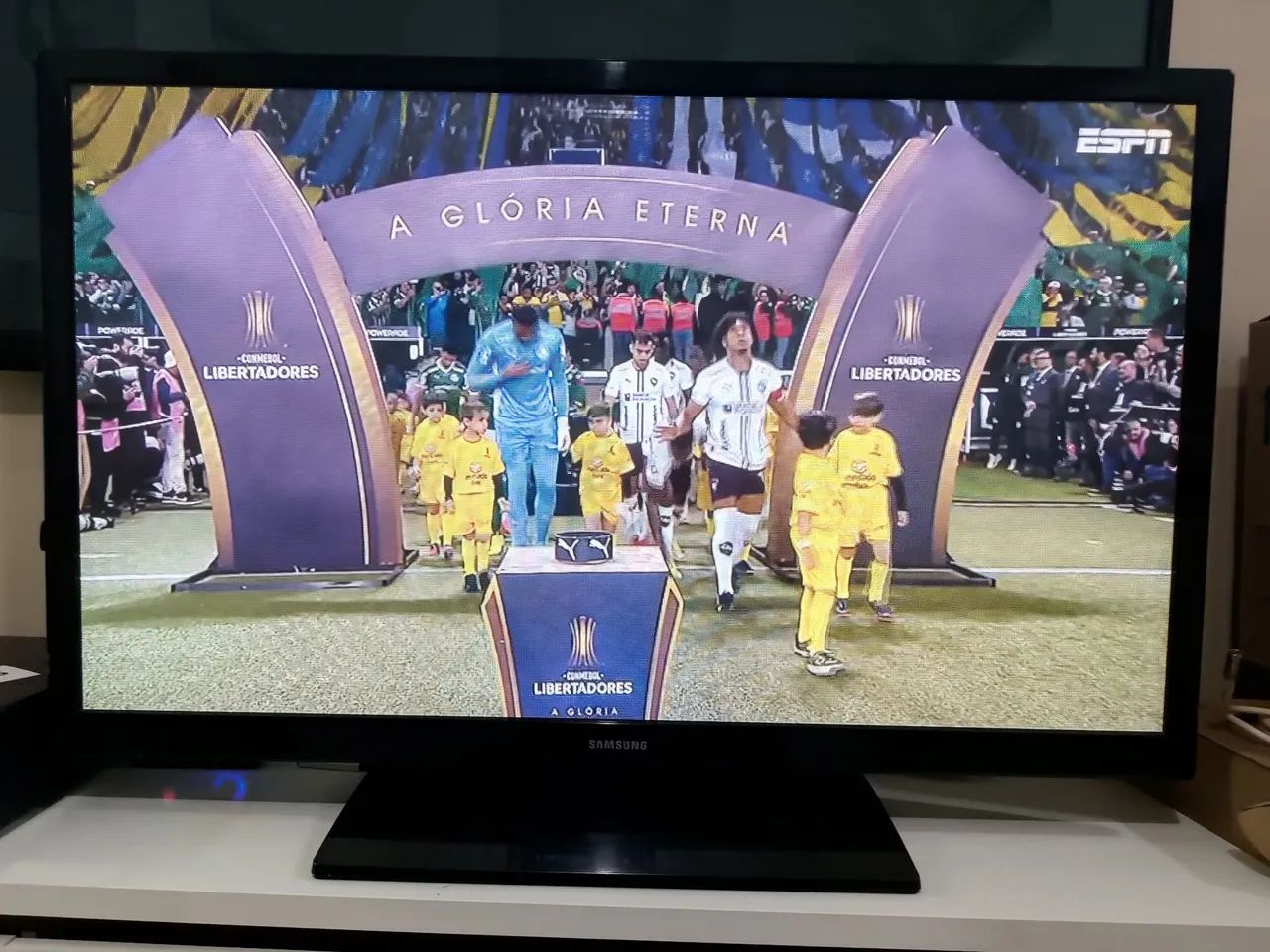 TV SAMSUNG PLASMA (PL43F4500)