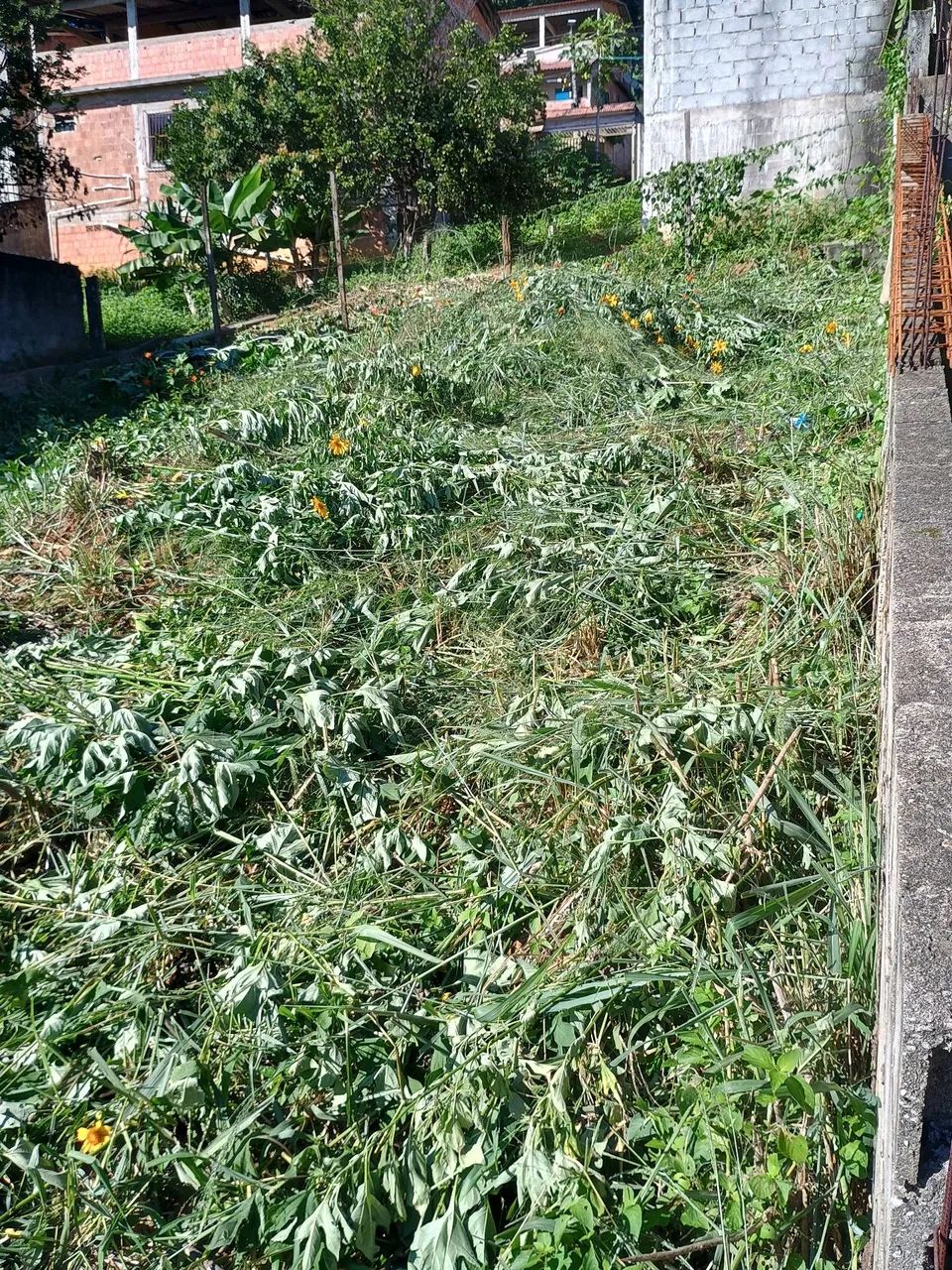 Lote a venda  - Foto 3