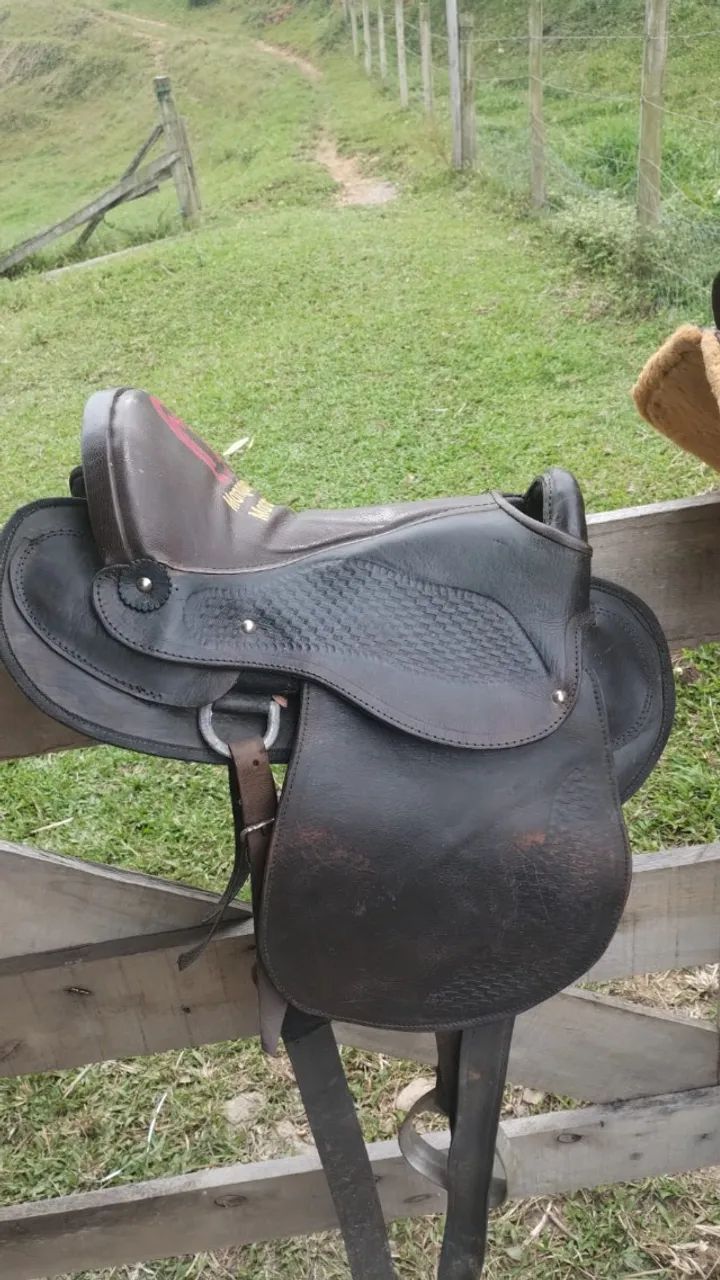 Sela australiana  - Foto 3