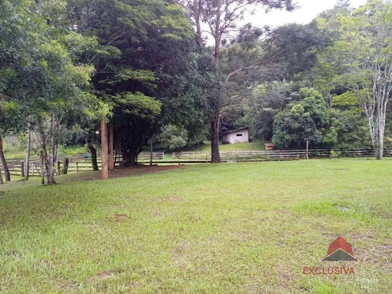 Sítio com 3 dormitórios à venda, 40000 m² por R$ 1.800.000,00 - Roncador - São Francisco X - Foto 2
