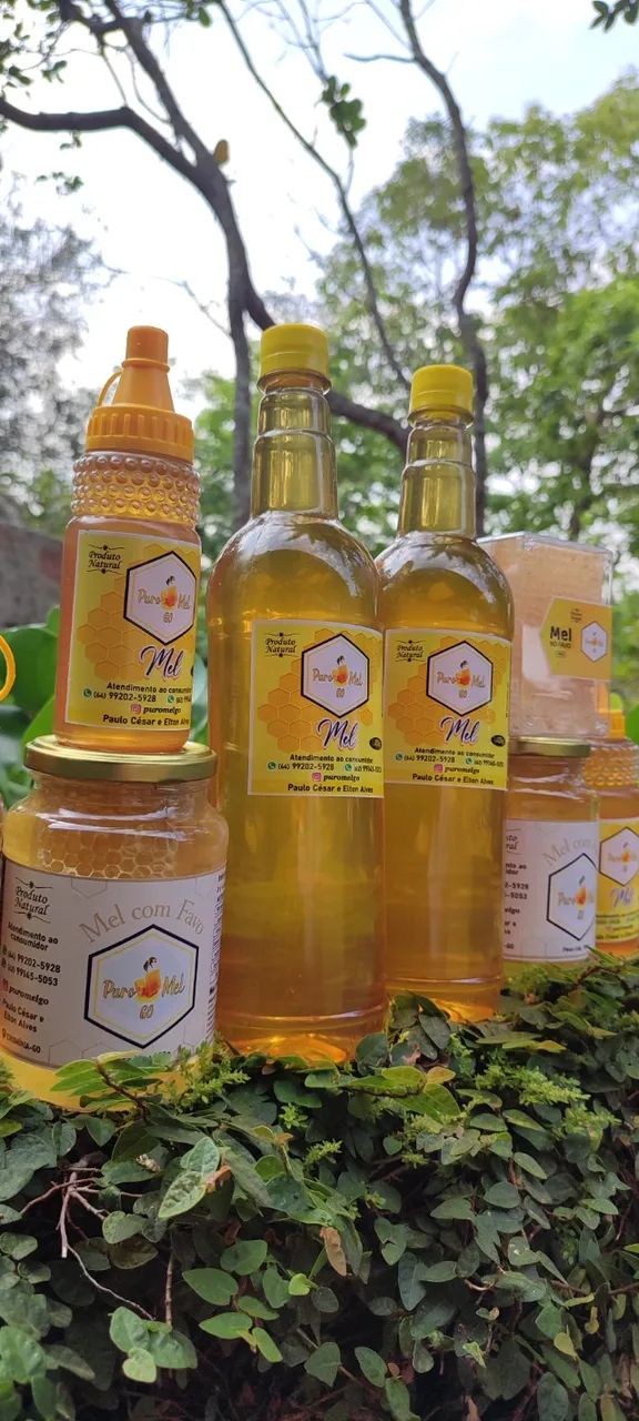 Mel da Florada Cipó Uva + Assa Peixe - Foto 2