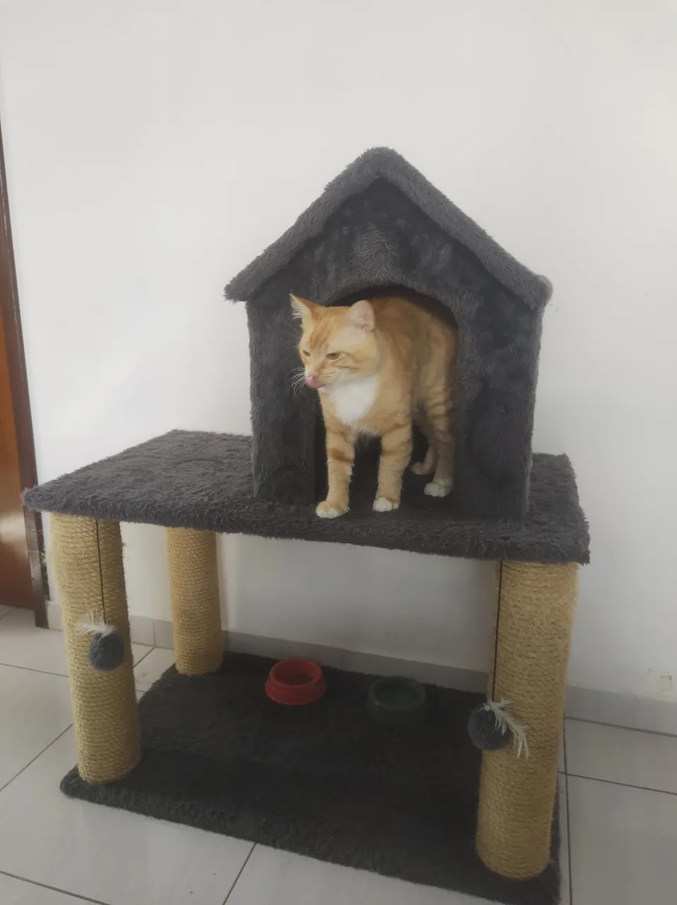 Casinha para gatos com arranhador