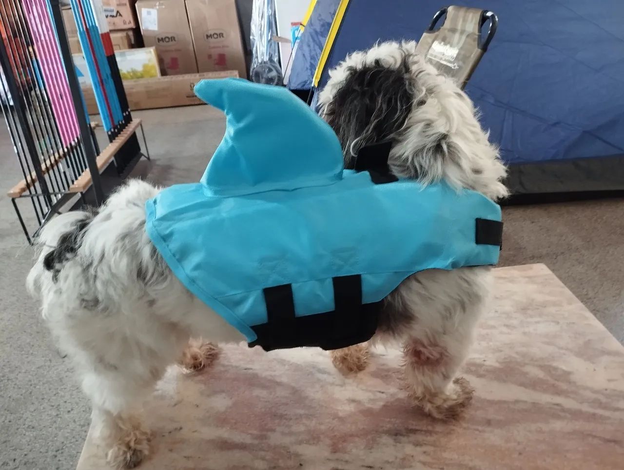 Colete salva-vidas para cachorro - Tamanho P - Foto 2