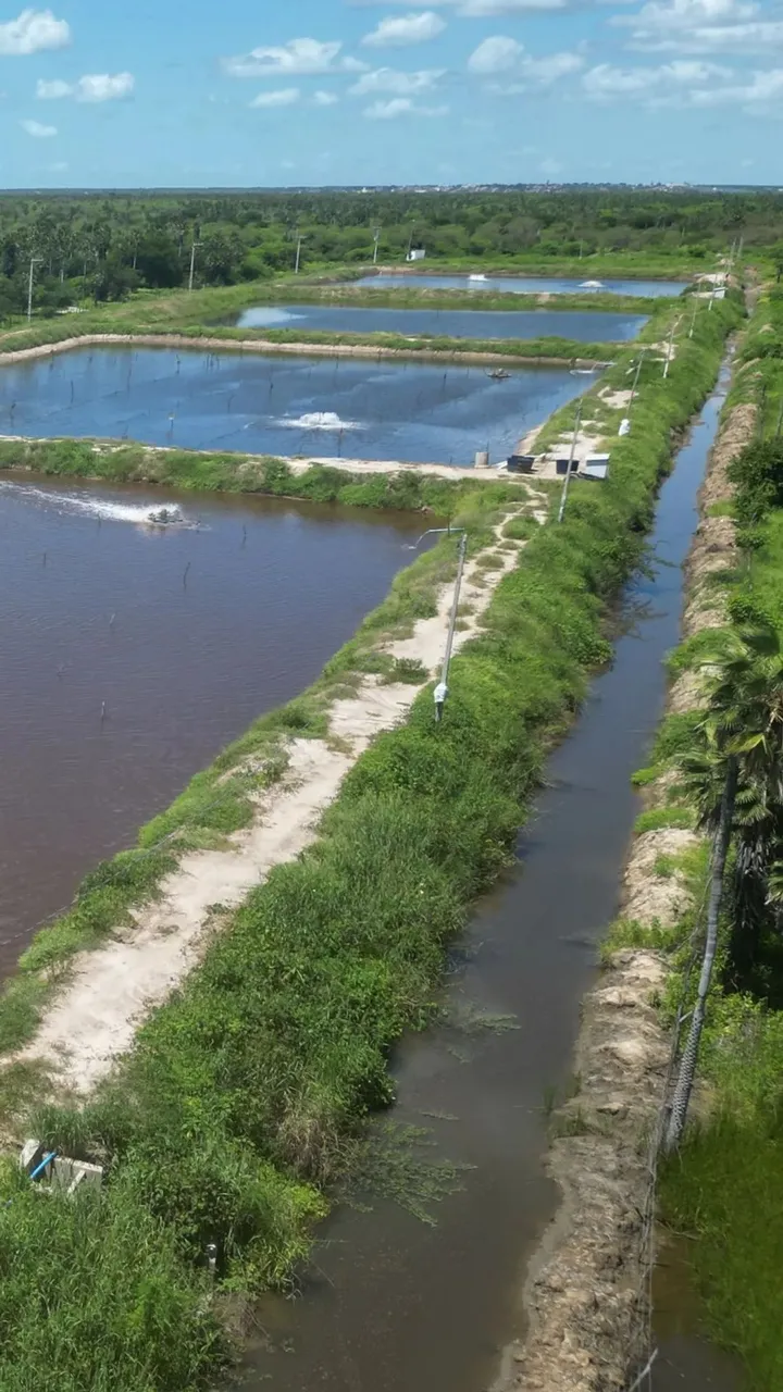 Fazenda com 50 hectares na região de Carnaubais