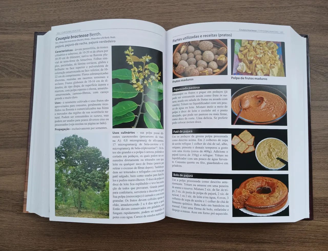 Plantas Alimentícias Não Convencionais (PANC) no Brasil - Foto 3