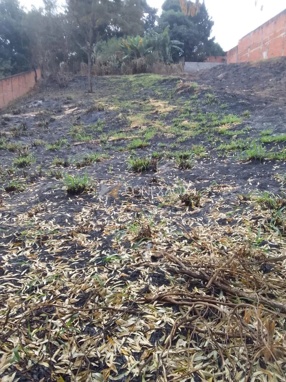 terreno - Cidade Satélite Íris - Campinas - Foto 6